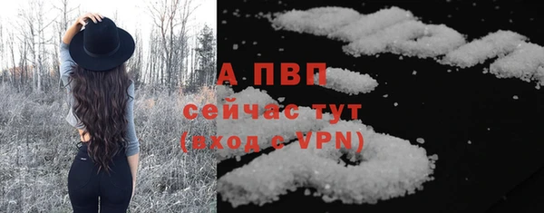 спайс Арсеньев